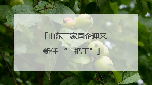 山东三家国企迎来新任 “一把手”
