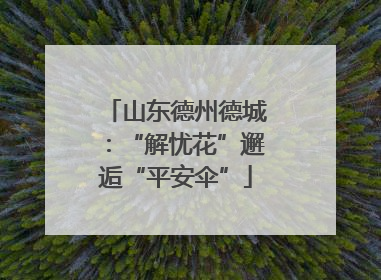 山东德州德城：“解忧花”邂逅“平安伞”