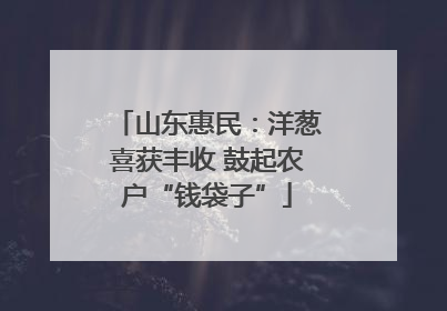 山东惠民：洋葱喜获丰收 鼓起农户“钱袋子”