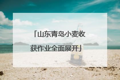 山东青岛小麦收获作业全面展开