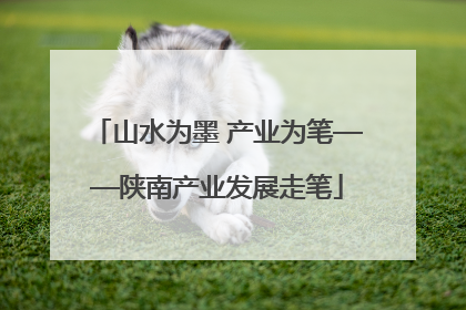 山水为墨 产业为笔——陕南产业发展走笔