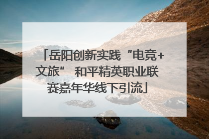 岳阳创新实践“电竞+文旅” 和平精英职业联赛嘉年华线下引流