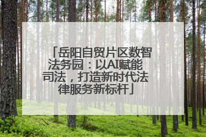 岳阳自贸片区数智法务园：以AI赋能司法，打造新时代法律服务新标杆