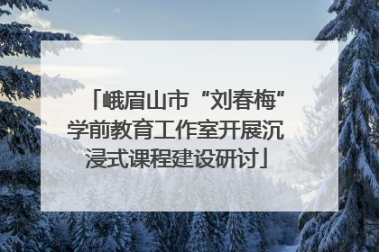 峨眉山市“刘春梅”学前教育工作室开展沉浸式课程建设研讨