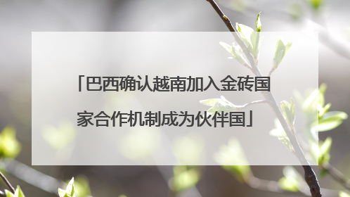 巴西确认越南加入金砖国家合作机制成为伙伴国