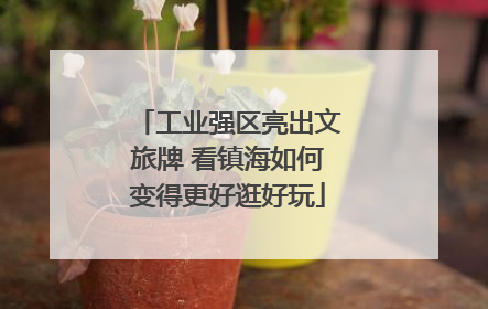 工业强区亮出文旅牌 看镇海如何变得更好逛好玩