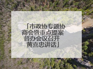 市政协专题协商会暨重点提案督办会议召开 黄喜忠讲话
