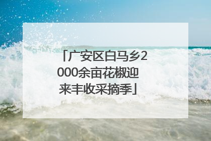 广安区白马乡2000余亩花椒迎来丰收采摘季