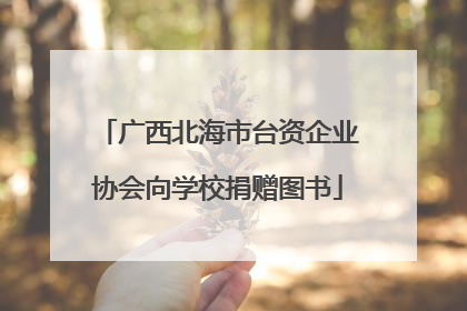 广西北海市台资企业协会向学校捐赠图书