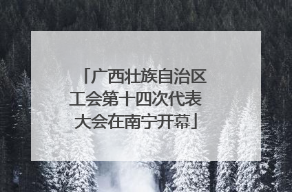 广西壮族自治区工会第十四次代表大会在南宁开幕