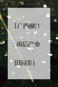 广西柳江：雨后产业田园美