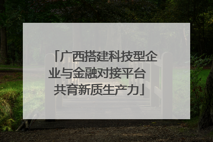 广西搭建科技型企业与金融对接平台 共育新质生产力