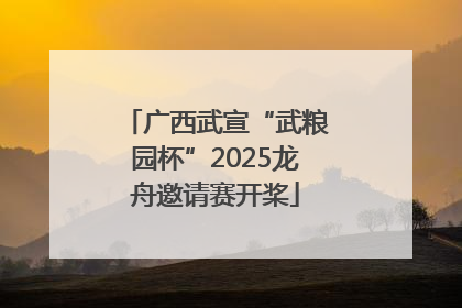广西武宣“武粮园杯”2025龙舟邀请赛开桨