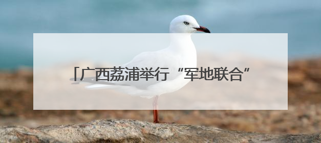 广西荔浦举行“军地联合”防汛抢险应急救援综合演练