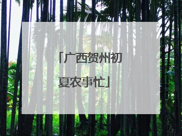 广西贺州初夏农事忙