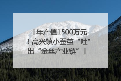 年产值1500万元！高兴镇小蚕茧“吐”出“金丝产业链”