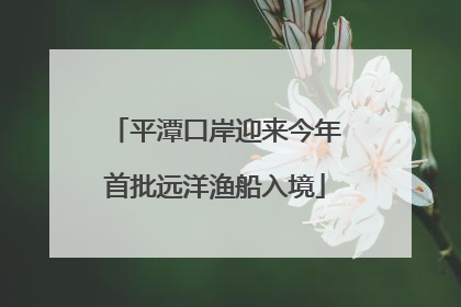 平潭口岸迎来今年首批远洋渔船入境