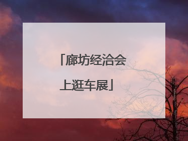 廊坊经洽会上逛车展