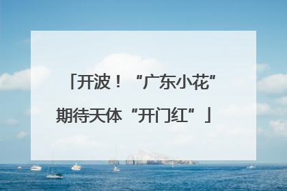 开波！“广东小花”期待天体“开门红”