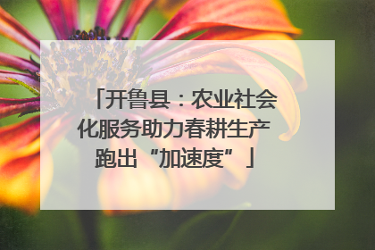 开鲁县：农业社会化服务助力春耕生产跑出“加速度”
