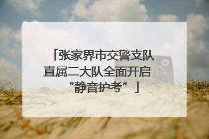 张家界市交警支队直属二大队全面开启“静音护考”
