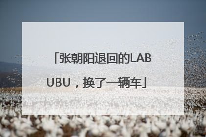 张朝阳退回的LABUBU，换了一辆车