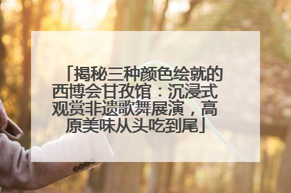 揭秘三种颜色绘就的西博会甘孜馆：沉浸式观赏非遗歌舞展演，高原美味从头吃到尾