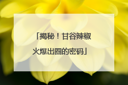 揭秘！甘谷辣椒火爆出圈的密码