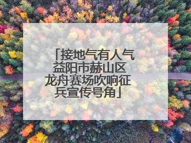 接地气有人气 益阳市赫山区龙舟赛场吹响征兵宣传号角