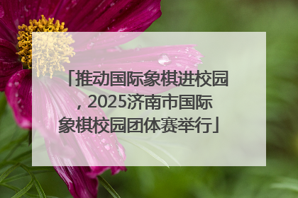 推动国际象棋进校园，2025济南市国际象棋校园团体赛举行