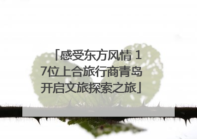 感受东方风情 17位上合旅行商青岛开启文旅探索之旅
