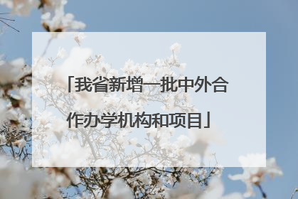 我省新增一批中外合作办学机构和项目