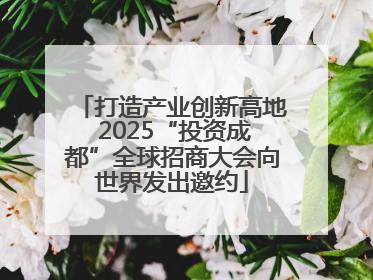 打造产业创新高地 2025“投资成都”全球招商大会向世界发出邀约