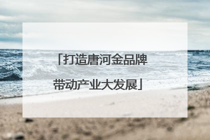 打造唐河金品牌 带动产业大发展