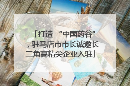 打造 “中国药谷”，驻马店市市长诚邀长三角高精尖企业入驻