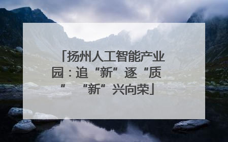 扬州人工智能产业园：追“新”逐“质” “新”兴向荣
