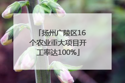 扬州广陵区16个农业重大项目开工率达100%