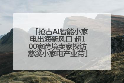 抢占AI智能小家电出海新风口 超100家跨境卖家探访慈溪小家电产业带