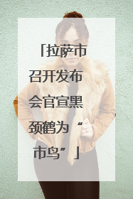 拉萨市召开发布会官宣黑颈鹤为“市鸟”
