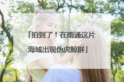 拍到了！在南通这片海域出现伪虎鲸群