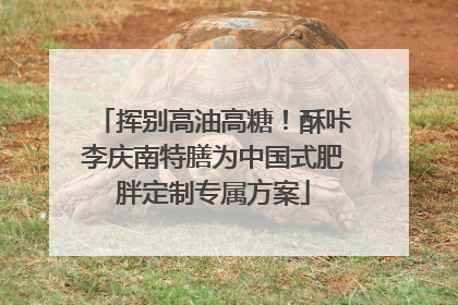 挥别高油高糖！酥咔李庆南特膳为中国式肥胖定制专属方案