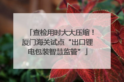 查检用时大大压缩！厦门海关试点“出口锂电包装智慧监管”