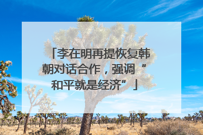 李在明再提恢复韩朝对话合作，强调“和平就是经济”