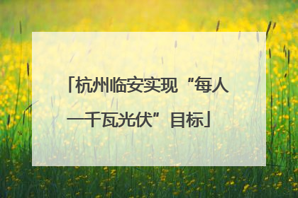 杭州临安实现“每人一千瓦光伏”目标