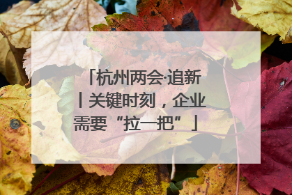 杭州两会·追新丨关键时刻，企业需要“拉一把”