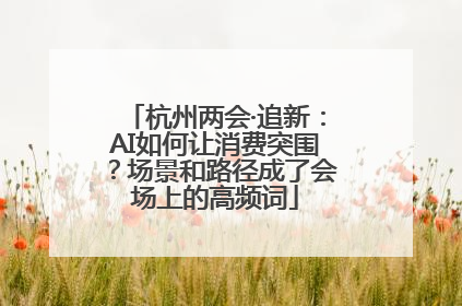 杭州两会·追新：AI如何让消费突围？场景和路径成了会场上的高频词