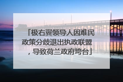 极右翼领导人因难民政策分歧退出执政联盟，导致荷兰政府垮台