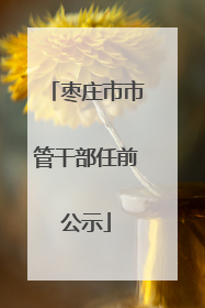 枣庄市市管干部任前公示