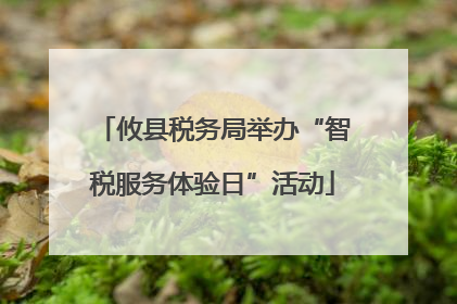 攸县税务局举办“智税服务体验日”活动