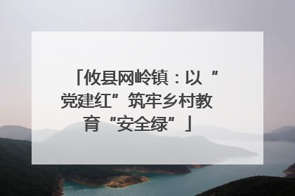 攸县网岭镇：以“党建红”筑牢乡村教育“安全绿”